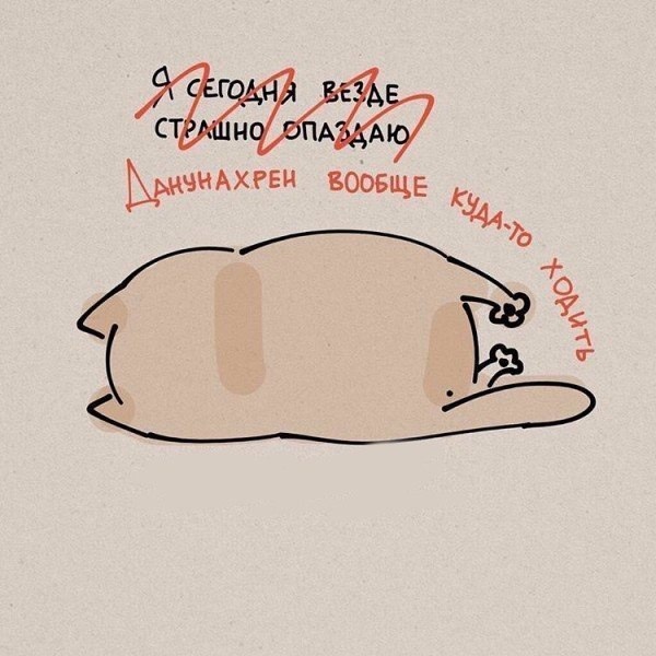 Типичные будни котов