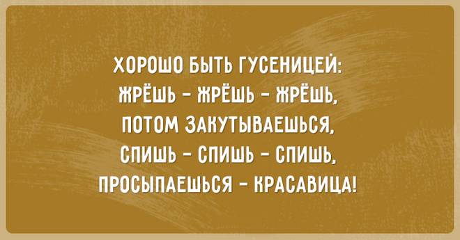 11 картинок с сарказмом