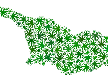 Грузія марихуана