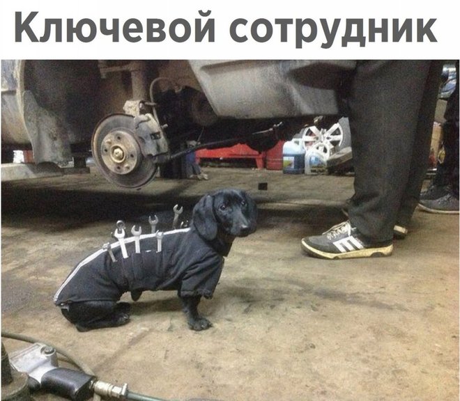 Самый главный в офисе