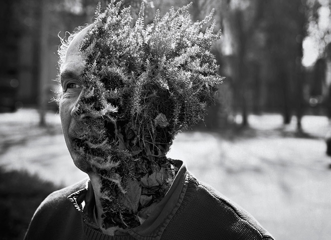 "Treeheads": люди-растения в фотопроекте Кэла Редбака