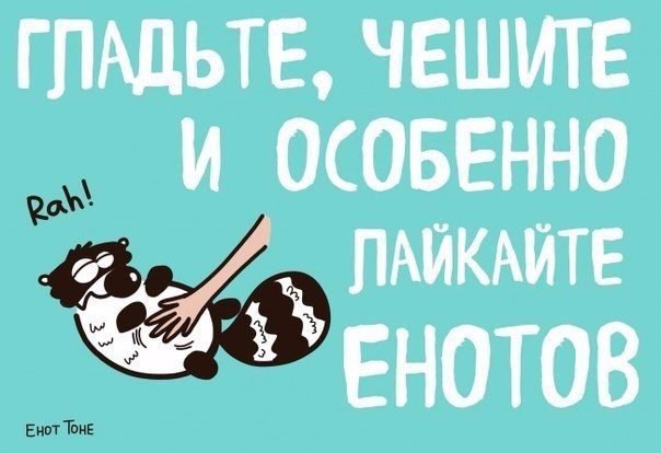 Мудрые советы от енота Тоне