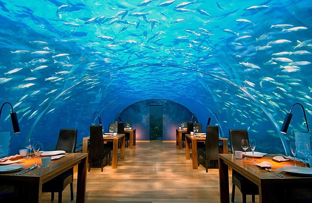 Гурман-тур: необычные рестораны: Ithaa, Мальдивы