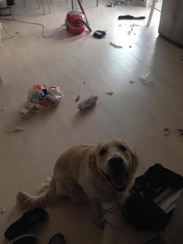 Я просто мимо проходил