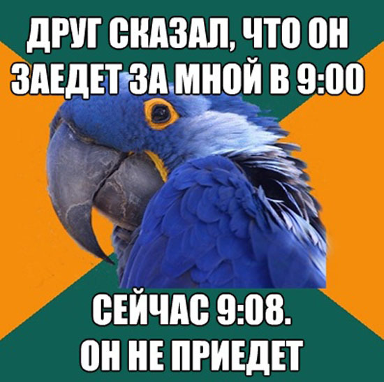 ТОП лучших мемов