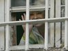 Тимошенко показалась в окне СИЗО