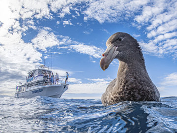 World Nature Photography Awards 2020