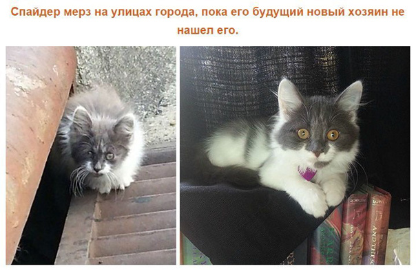 Делать добро легко