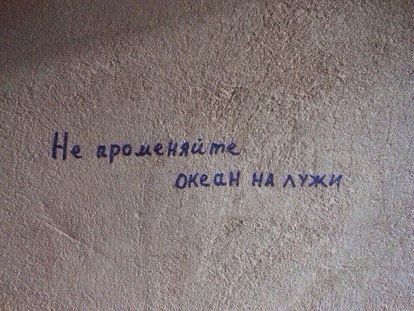 Стены дело говорят