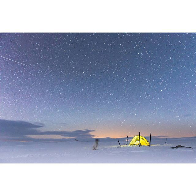 хаскі Акіак 