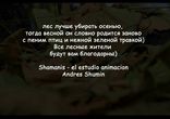 Лесной мусор