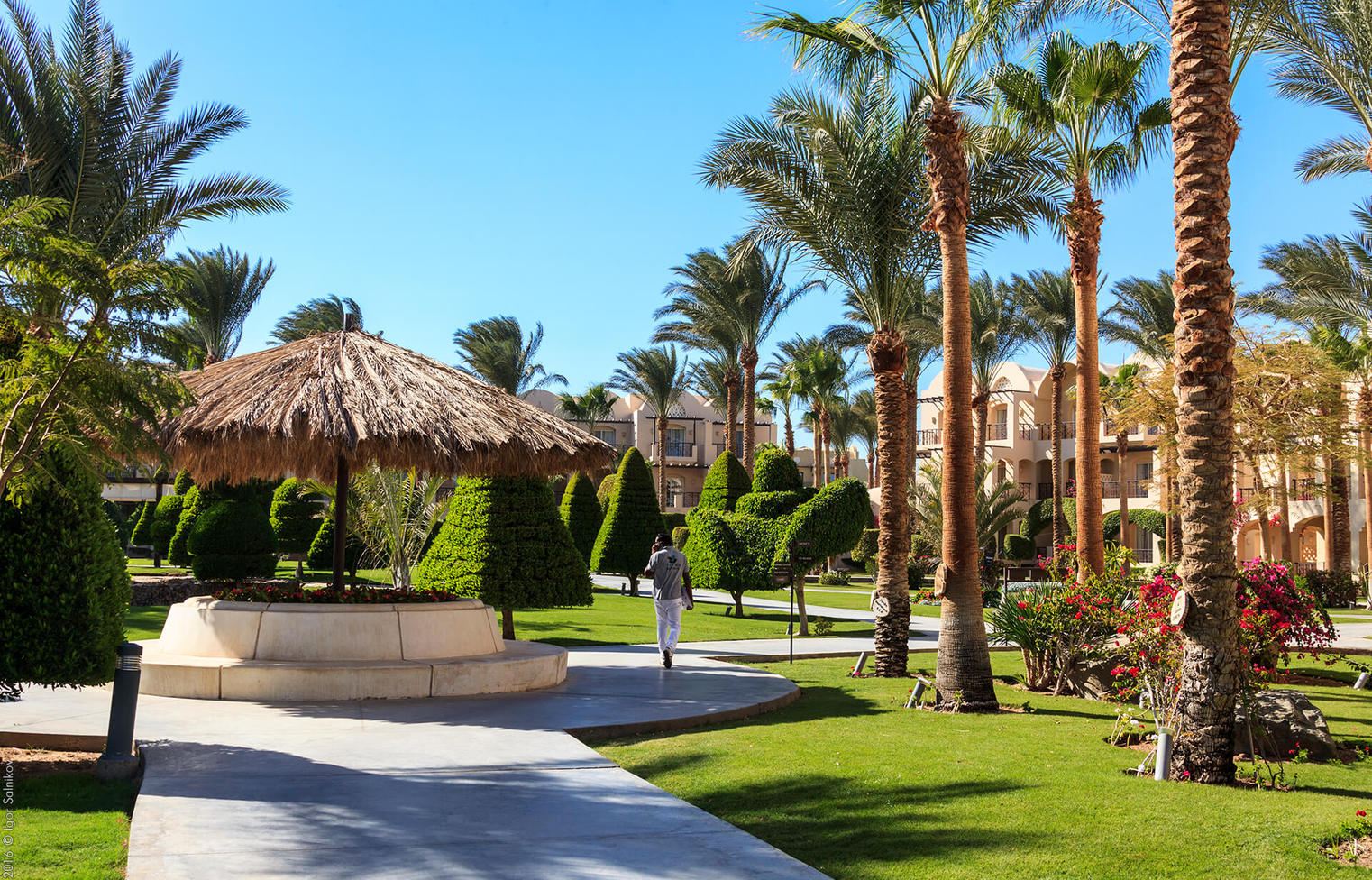 Єгипет, готель Jaz Makadina