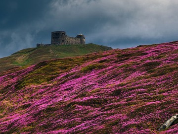 Карпати село