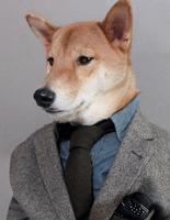 Menswear Dog