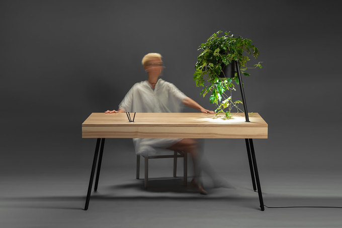 ORGANiC collection by RYNTOVT DESIGN and RDWOOD