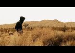 OneRepublic - Stop And Stare