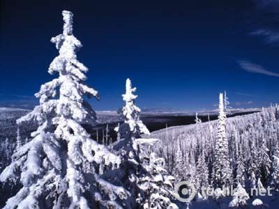 З Новим роком!