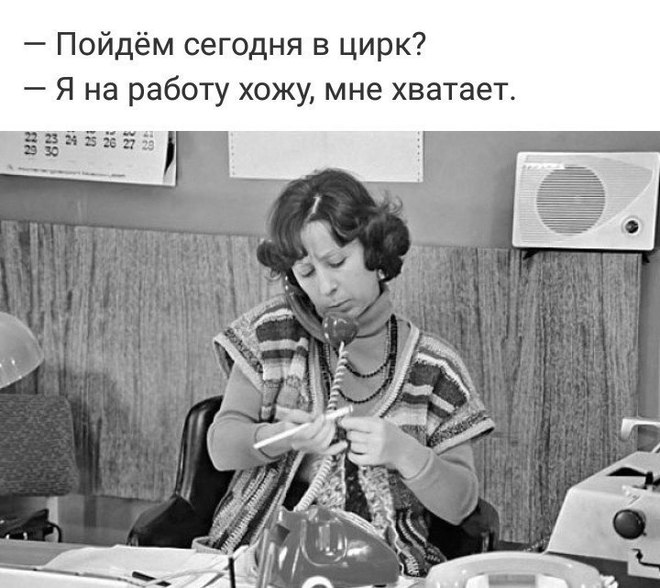 Работа и цирк