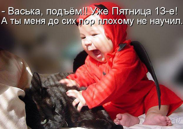 ТОП лучших котоматриц про пятницу 13-е