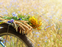 Какой праздник отмечают 4 июня