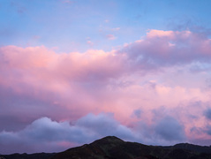 Цвет Pantone 2016