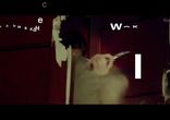 jue Человек ноября смотреть онлайн HD lLK