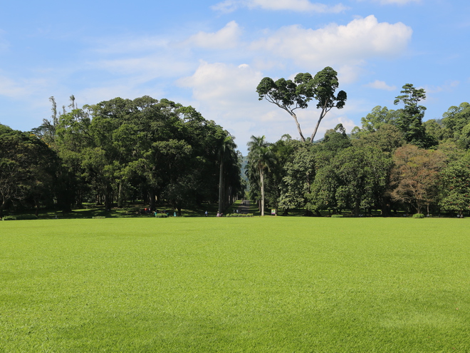 Дмитрий Каднай о Шри-Ланке: все, что вы не прочитаете в путеводителе об острове