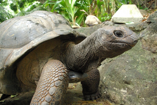 История из жизни: бросить всё и уехать на необитаемый остров