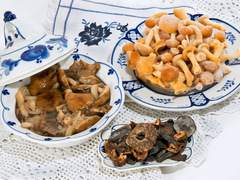 Як заготовити гриби на зиму