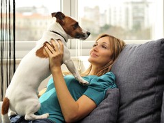 домашні тварини