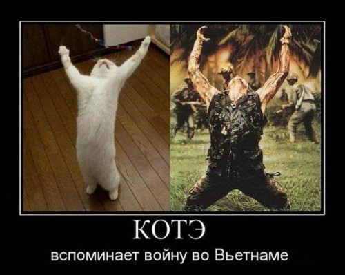 Юморные демотиваторы
