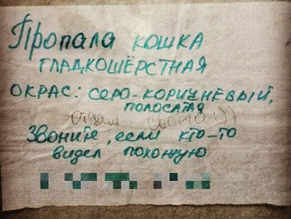 Перлы от соседей