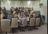Жириновский о русском мате