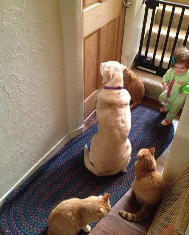 "Жена всего-то захотела побыть 5 минут наедине... это очередь к ней в комнату"