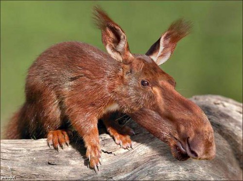 Последствия Чернобыля