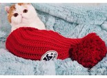 Кот Снупи Кот Снупи
