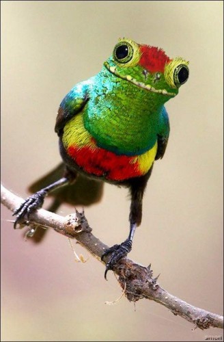 Последствия Чернобыля