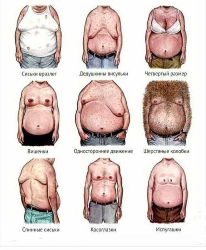 Типы мужской груди