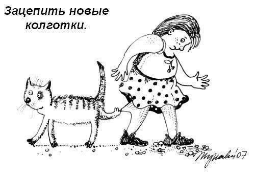 Что обожают делать коты