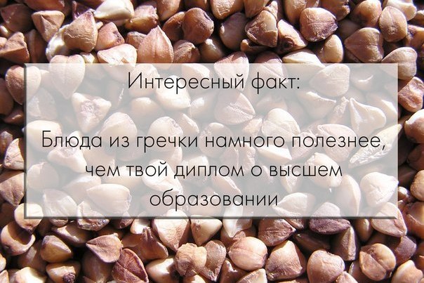 Интересные факты про гречку и диплом