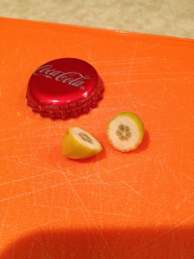 Мама вырастила нереальный лимон