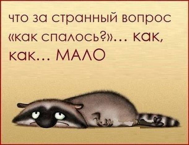 Сонная картинка про утро