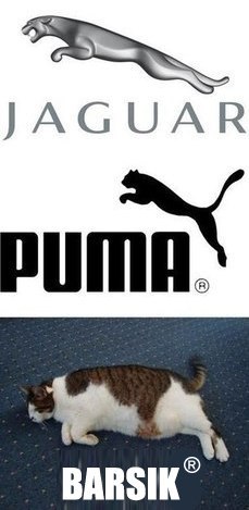 Спорт - это ничто! Лень - это всё!