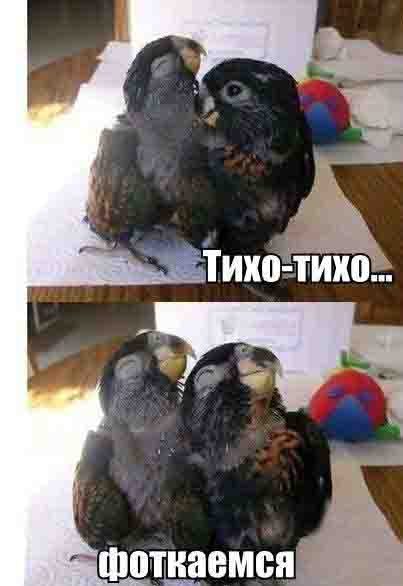 Позитивная фотка с малышами