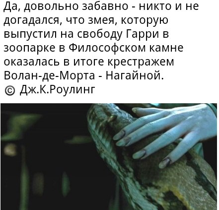 Тайна, о которой никто не знал