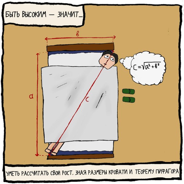 Преимущества высокого роста