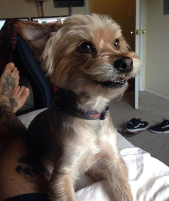 Забавные фото с няшками