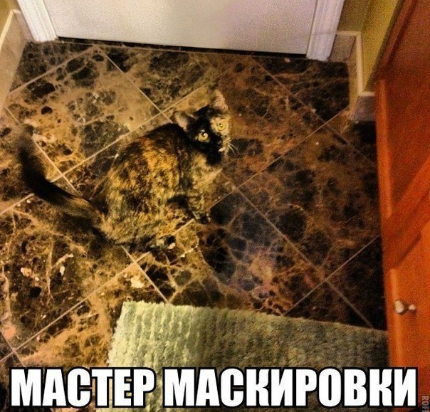 Мастер маскировки