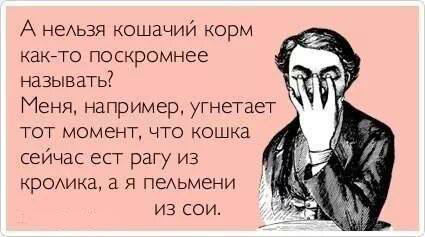 ТОП лучших аткрыток