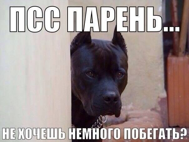 Утро начинается не с кофе